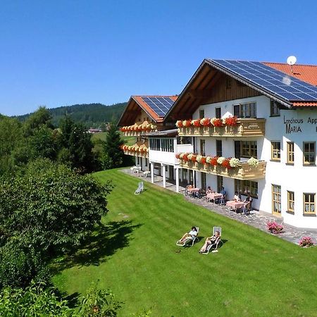 Landhaus Maria Bed&Breakfast Hotell Regen Eksteriør bilde